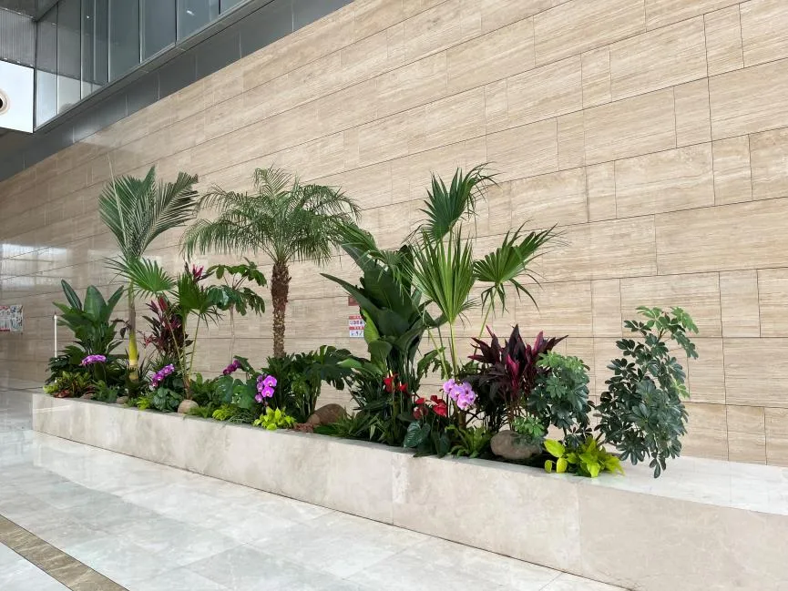 宁波盆景租赁方案