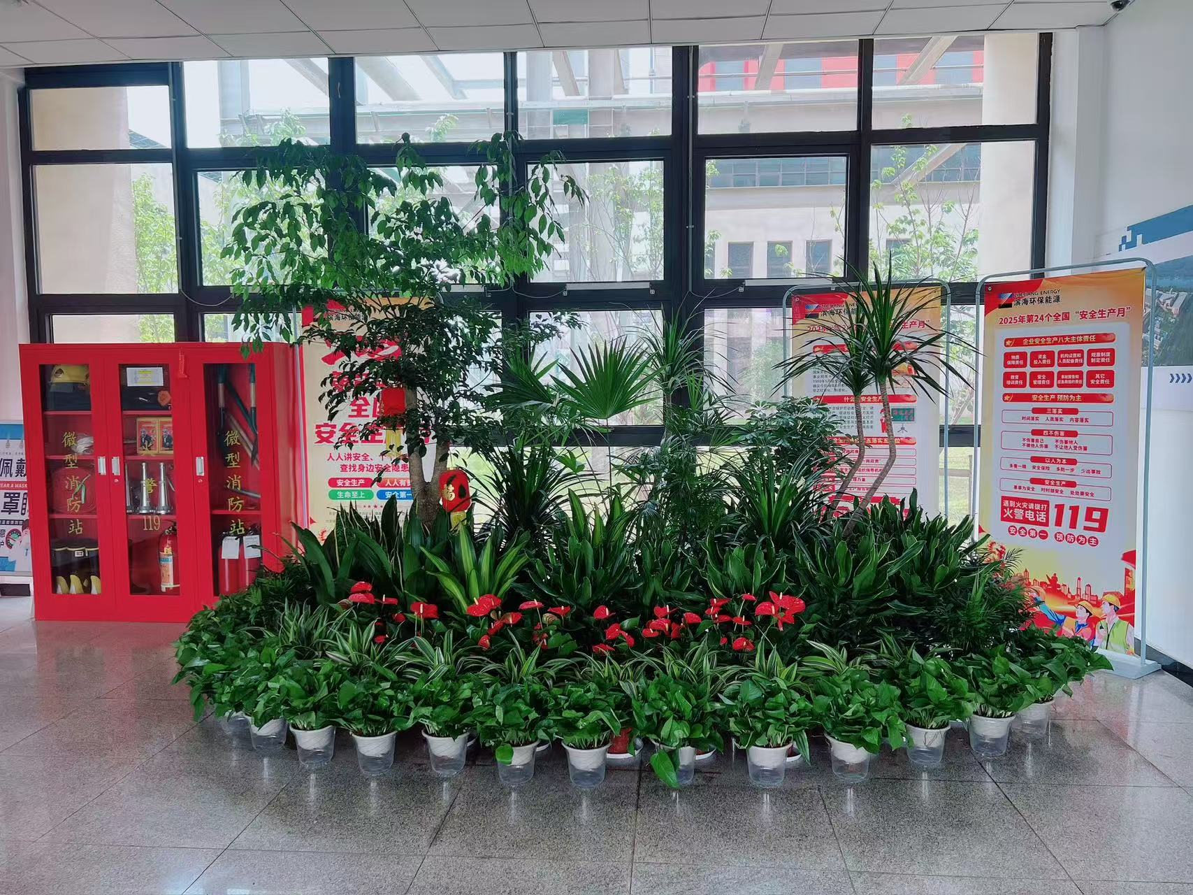 宁波奉化植物出租，热门之选点亮空间